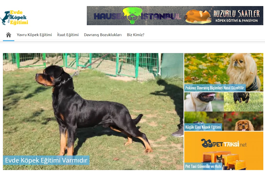 KÖPEĞİME ÜCRETLİ EĞİTİM ALDIRABİLİRMİYİM