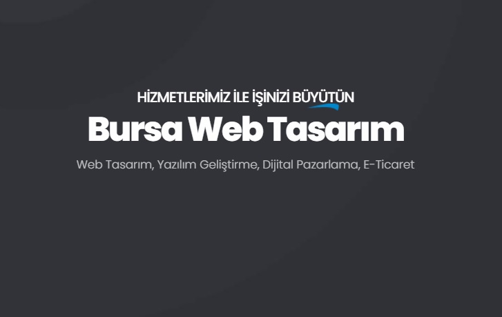 Bursa Web Tasarım