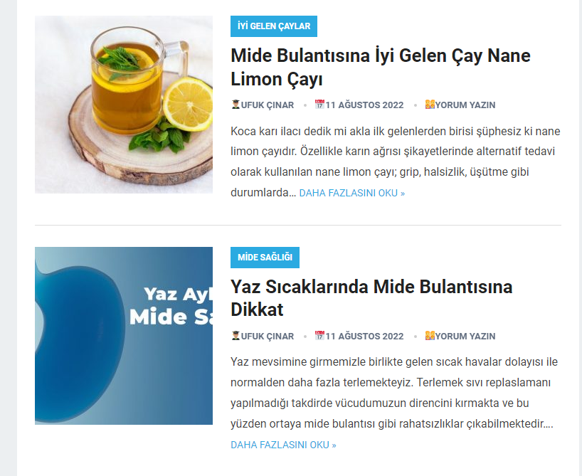 Mide Bulantısı