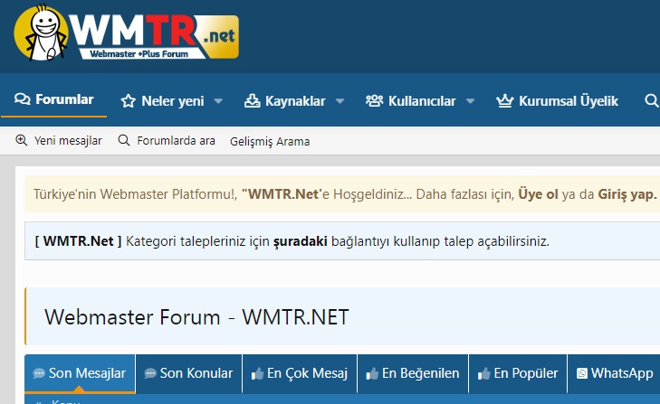 Web Master Forum Alanında Neler Yapılır?