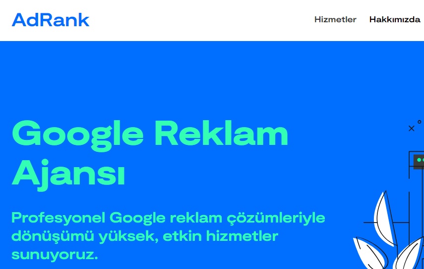 Google Ads Reklam Ajansı