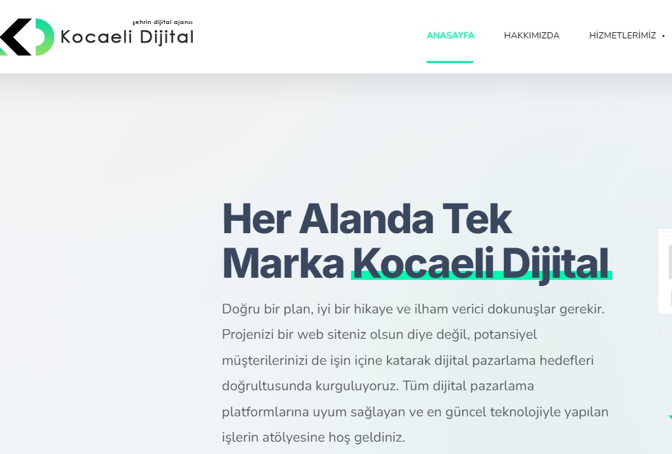 Kocaeli web tasarım