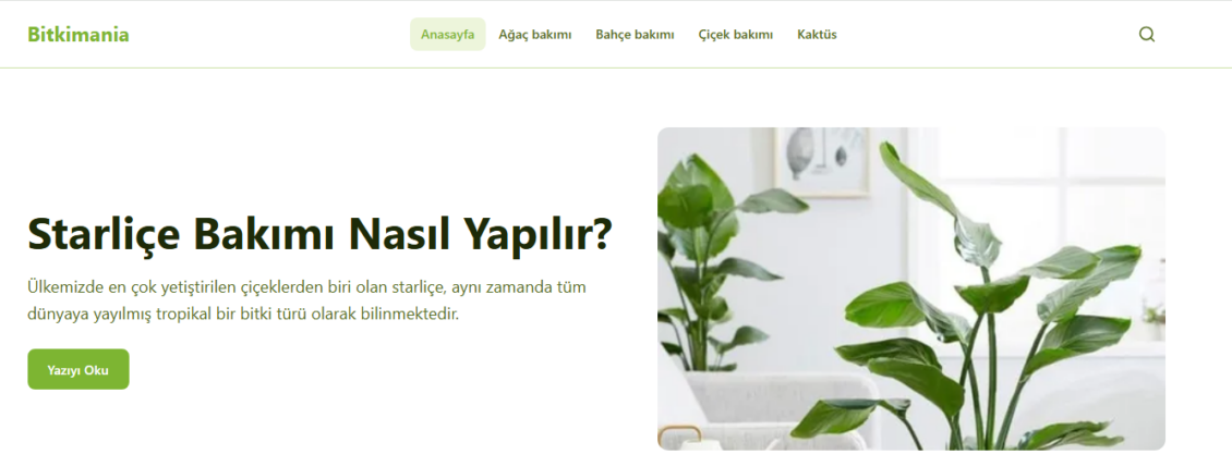 Kaktüs Türleri